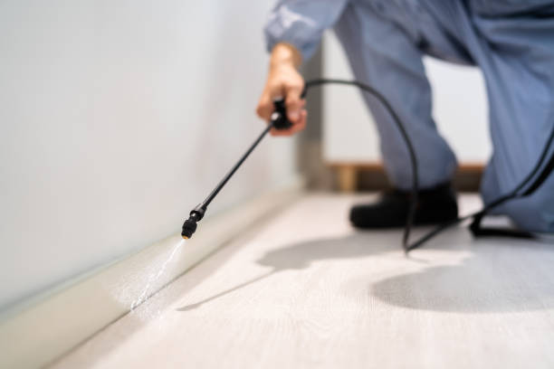 Licensed Termite Control service in Oak Creek, WI - Nex Pest Control