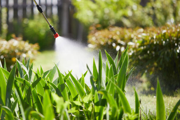 24/7 Emergency Termite Control experts in Oak Creek, WI