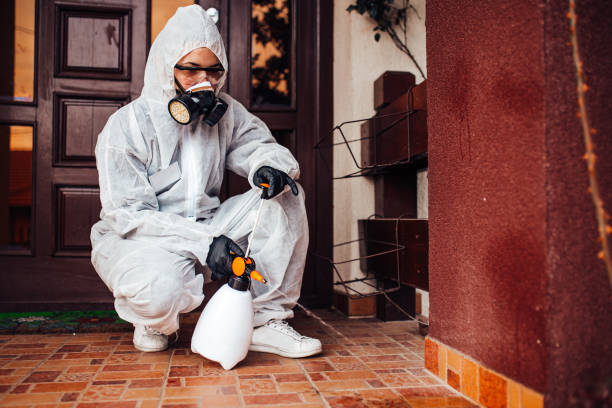 Reliable Termite Control contractor in Oak Creek, WI by Nex Pest Control